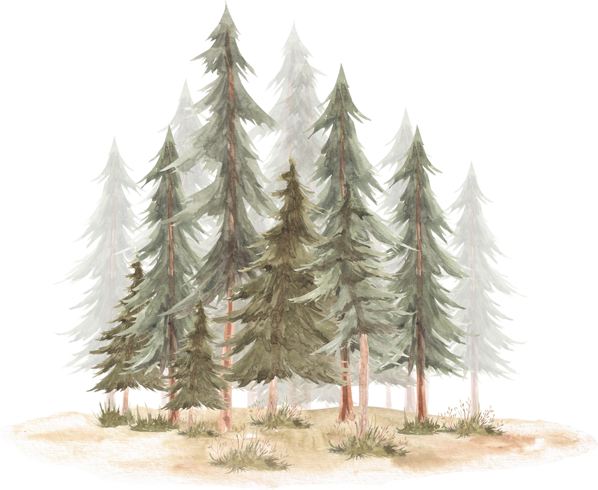 Forest Landscape Watercolor Clipart